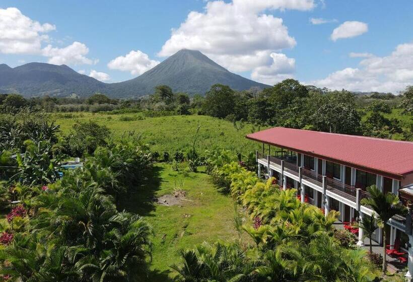 Номер Стандарт, Campos Arenal
