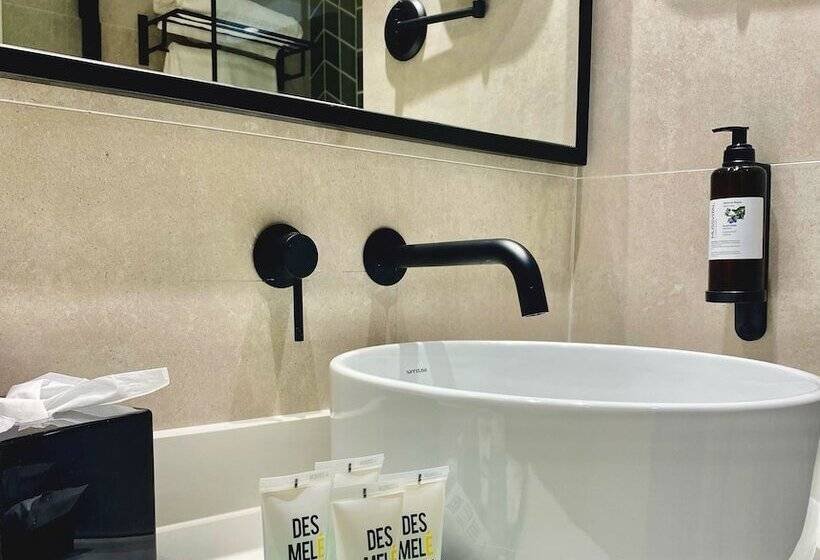 اتاق استاندارد با چشم‌انداز شهر, Vincci Larios Diez