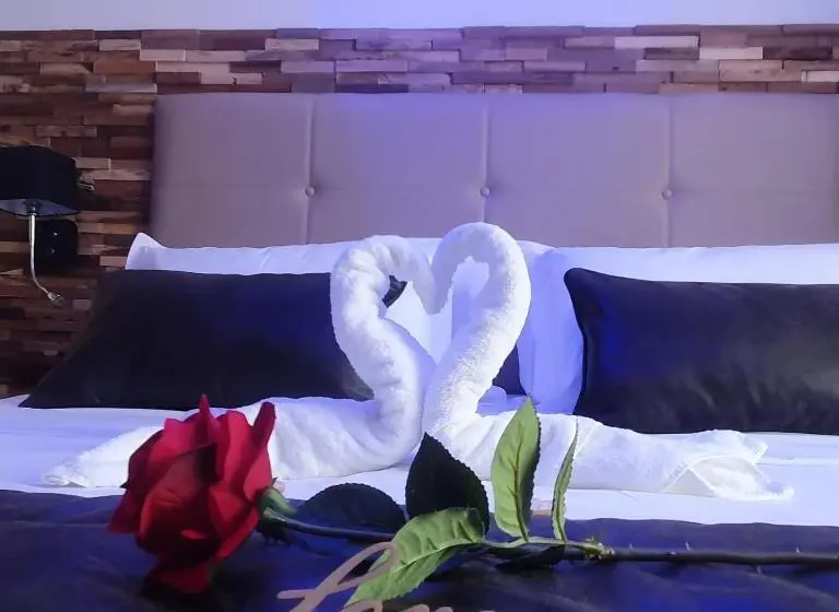 スタンダードルーム, Loveroom La Garçonn Hyeres