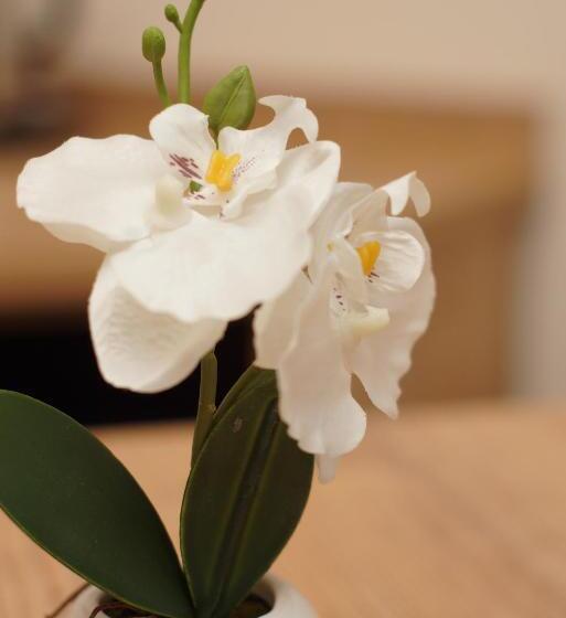 Camera Standard, Der Marienhof Hotel Garni