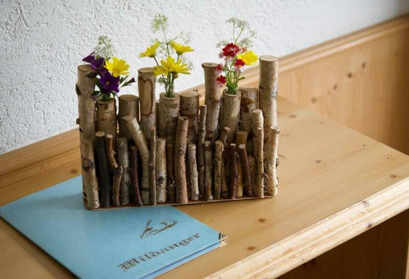 Номер Стандарт, Garni Hotel Wildanger