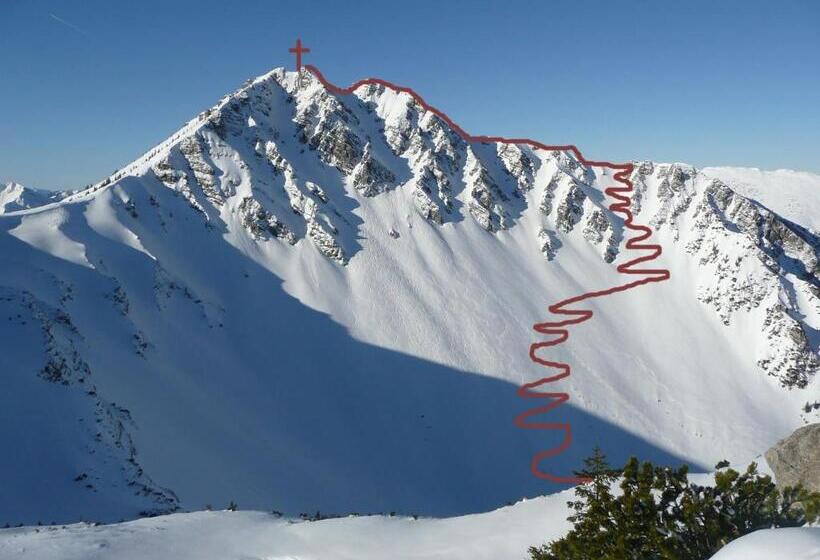 Апартаменты 1 Спальня, Garni Hotel Wildanger