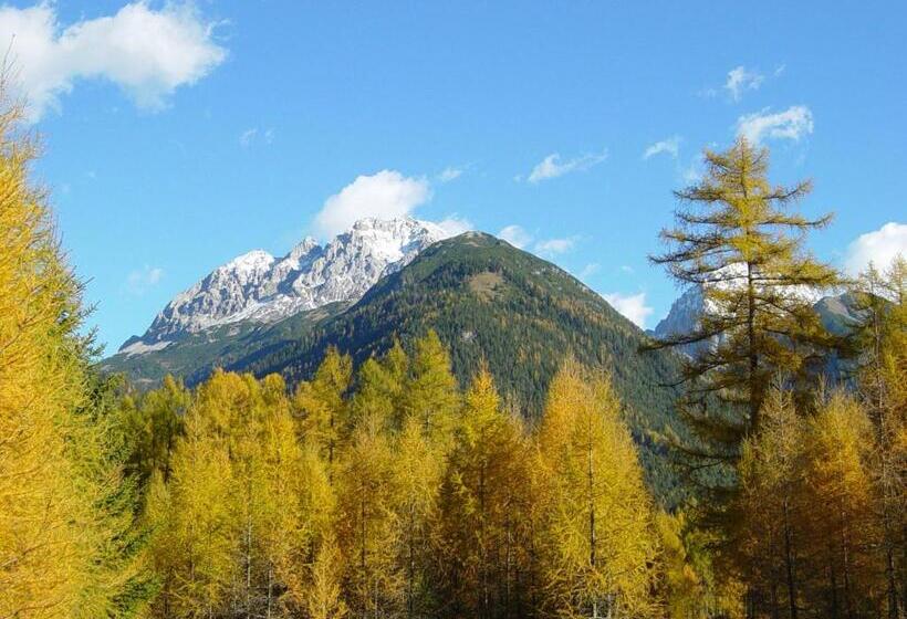 Апартаменты 1 Спальня, Garni Hotel Wildanger