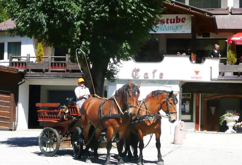 Апартаменты 1 Спальня, Garni Hotel Wildanger