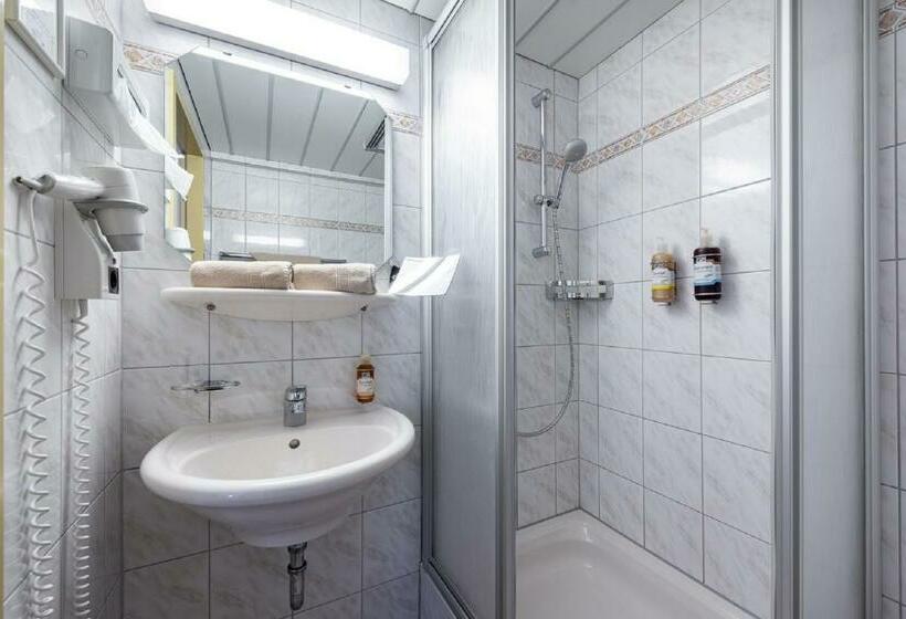 スタンダードシングルルーム, Alpenrose