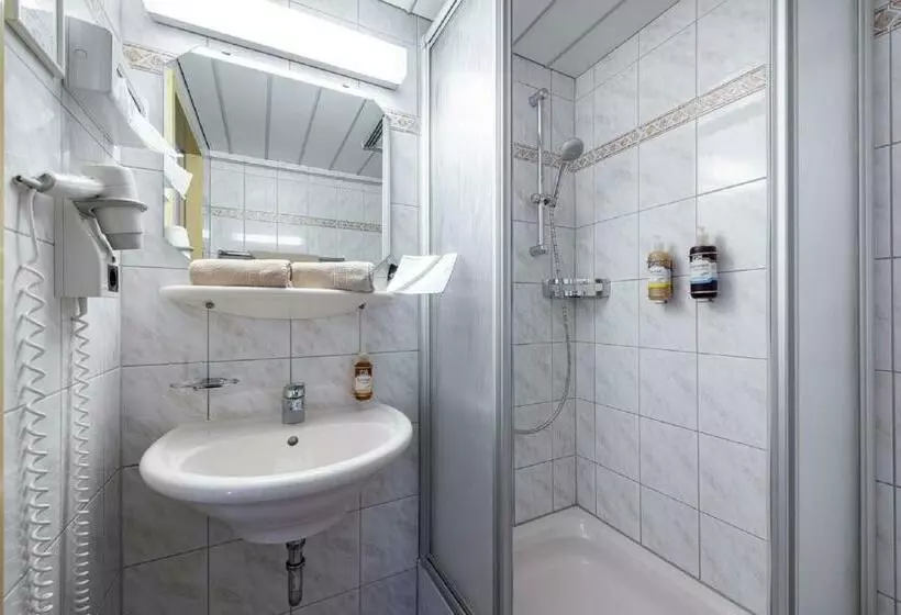 Standard Yhden Hengen Huone, Alpenrose
