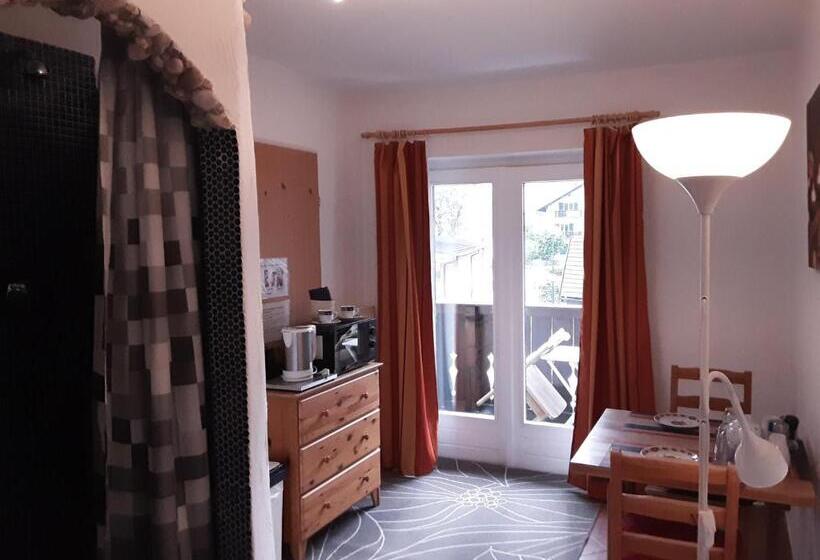 小型套房带阳台, Apartment House Seerose