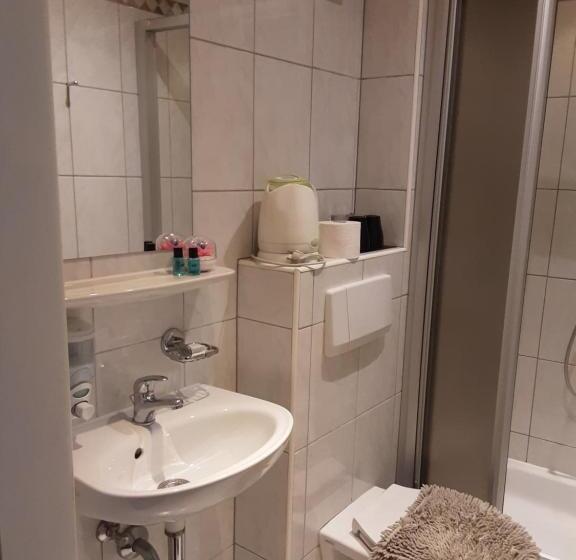 Номер Стандарт Вид на Горы, Apartment House Seerose