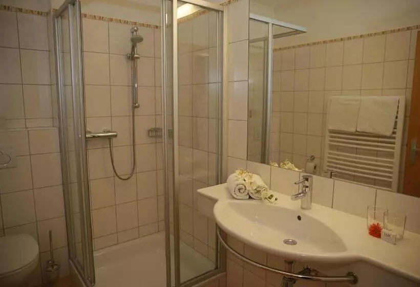 Standard Single Room with Balcony, Gasthofladen Schneeweiss