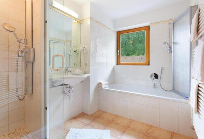 Apartamento 1 Quarto com Vistas, Pinzger Tux