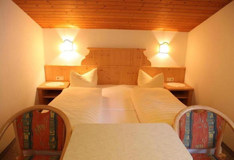 Apartamento 1 Quarto com Vistas, Pinzger Tux