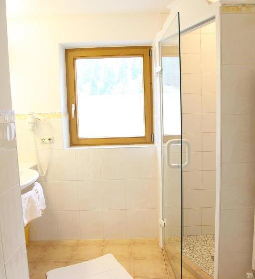 Apartamento 1 Quarto com Vistas, Pinzger Tux