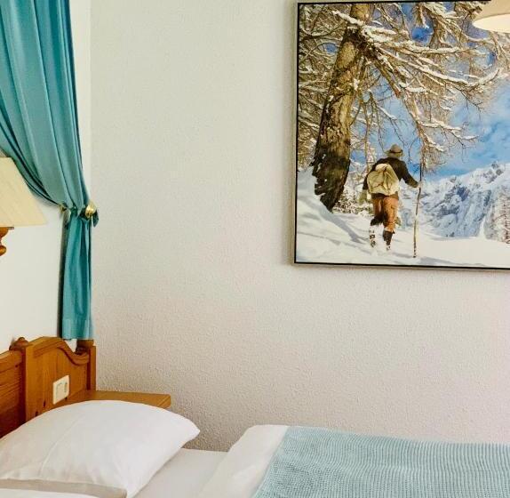 غرفة قياسية, Intermontana Hotel Garni