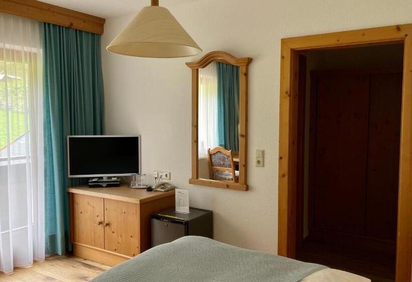 Номер Стандарт, Intermontana Hotel Garni