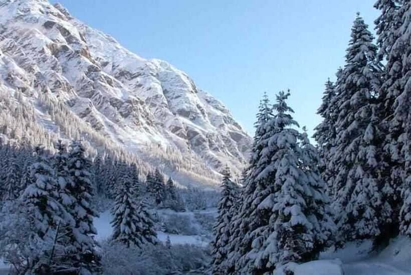 غرفة قياسية فردية, Intermontana Hotel Garni