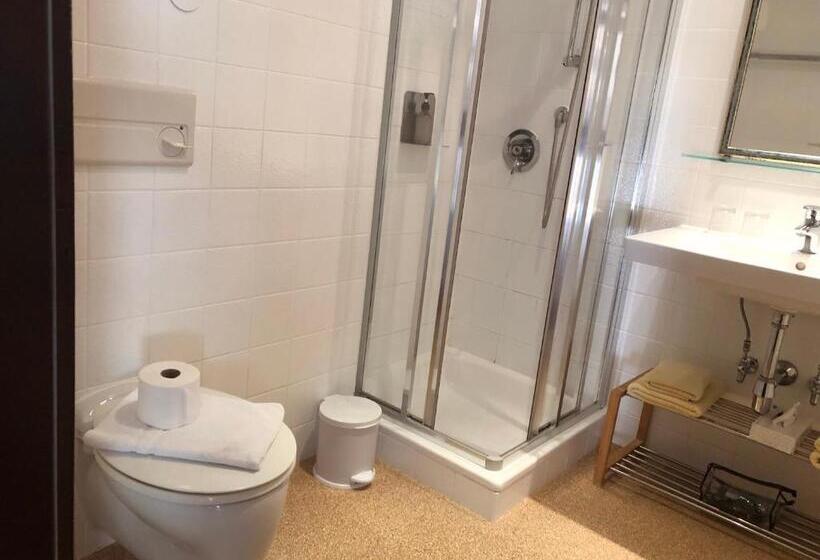 スタンダードシングルルーム, Landgasthof Santner