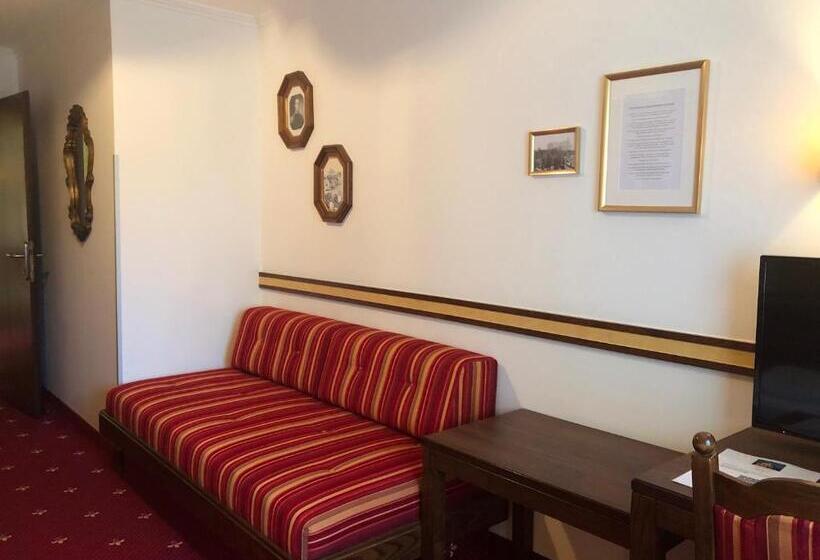 スタンダードシングルルーム, Landgasthof Santner