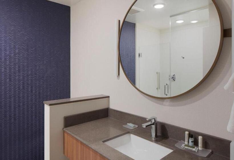 Номер Стандарт Адаптированный для Инвалидов, Fairfield Inn & Suites By Marriott Stony Creek