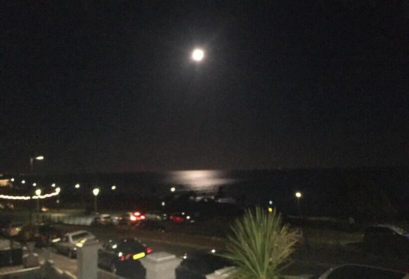 חדר סופריור, The Halcyon