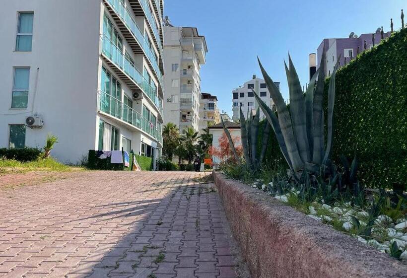 استودیوی استاندارد با چشمانداز دریا, Yelken Apart