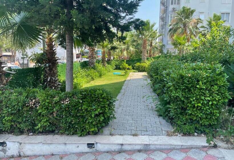 استودیوی استاندارد با چشمانداز دریا, Yelken Apart