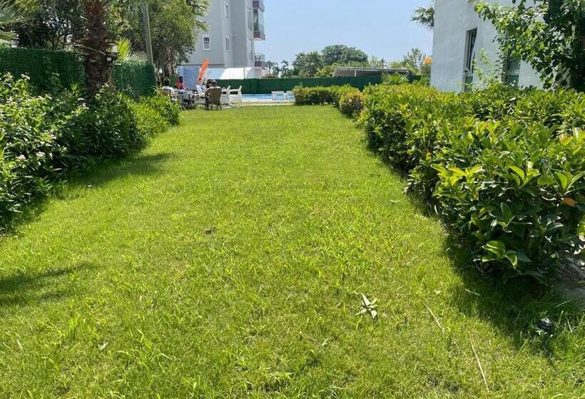 استودیوی استاندارد با چشم‌انداز دریا, Yelken Apart