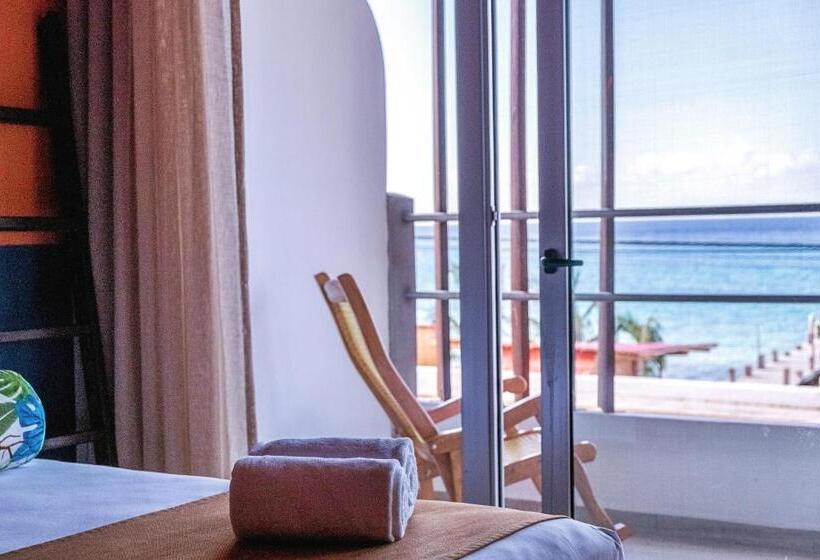 ジュニアスイート, Albatros By Bedsfriends