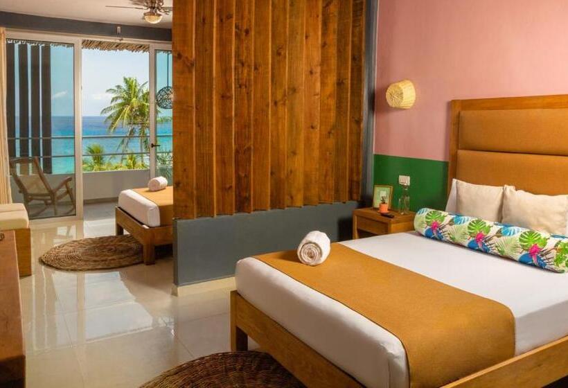 ジュニアスイート, Albatros By Bedsfriends