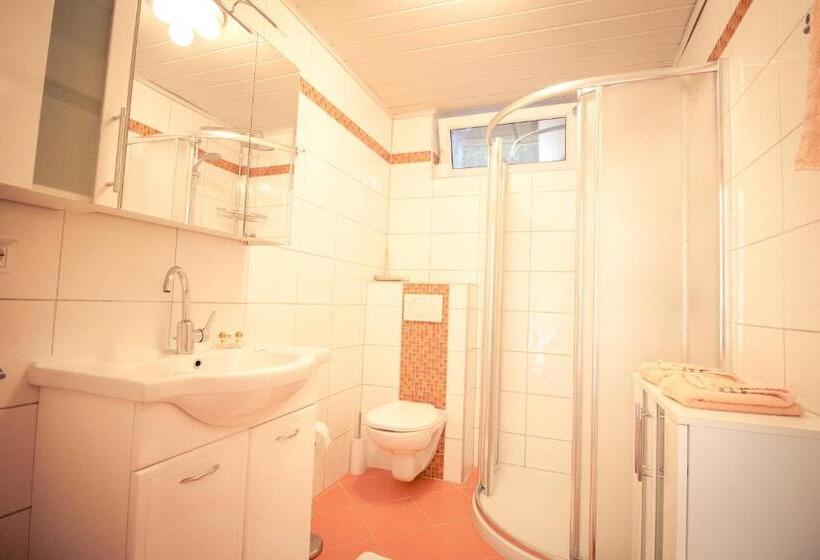 דירת 2 חדרים סופריור, Pension Waldruh   Tannenheim