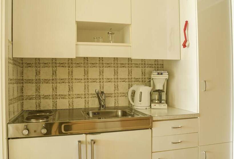 آپارتمان 1 خوابه با تراس, Seepark Drobollach