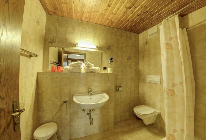 اتاق استاندارد با چشم‌انداز دریاچه, Seepark Drobollach