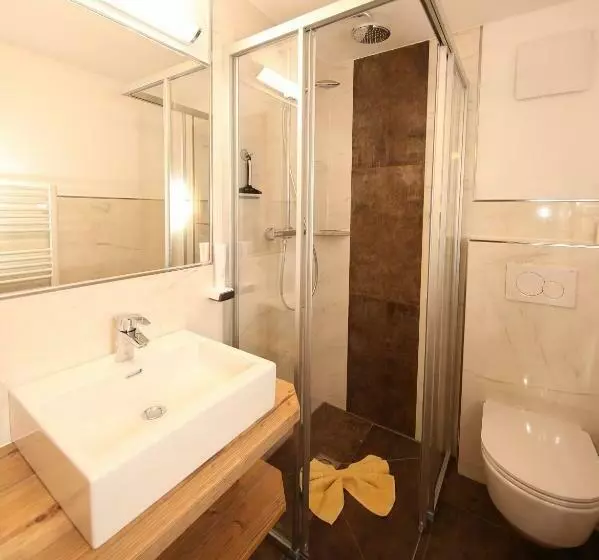 اتاق استاندارد, Aparthotel Das Hochkönig