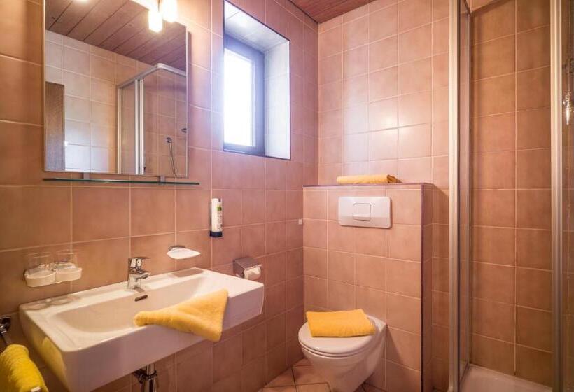 Номер Стандарт с Балконом, Landhaus Zillertal