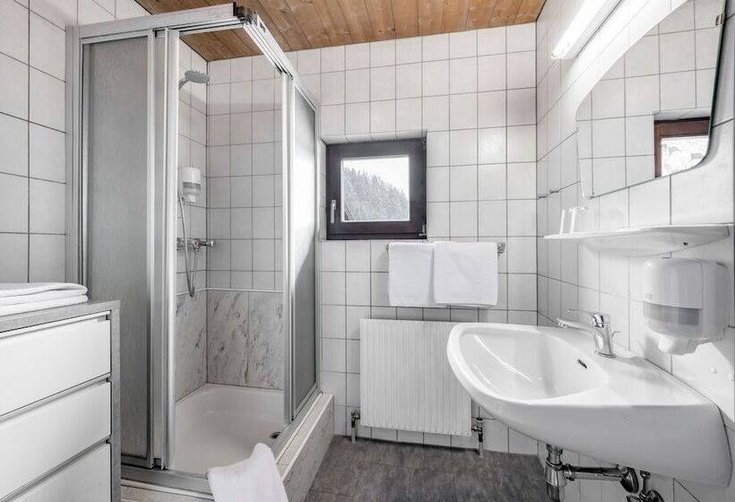 Номер Стандарт, Gasthof Schroll