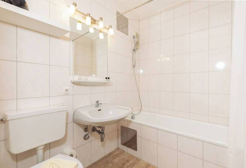 舒适型单人间, Alpenhotel Dachstein