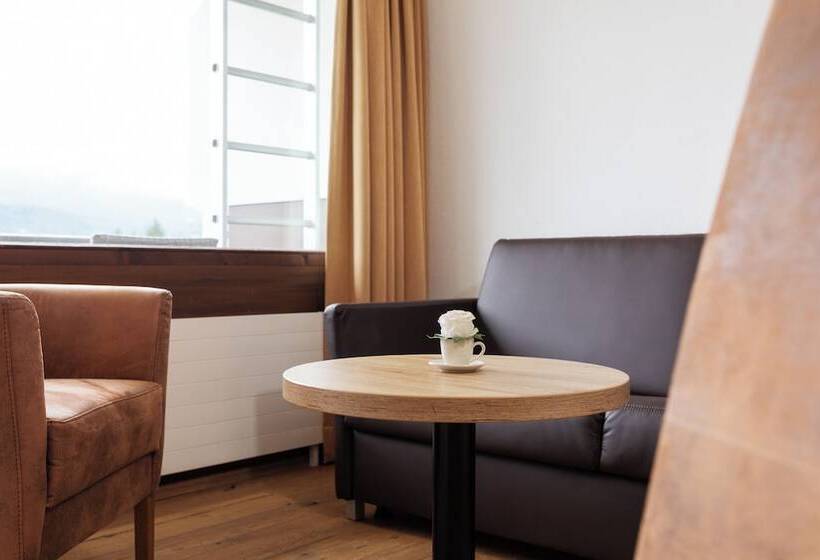 舒适型单人间, Alpenhotel Dachstein