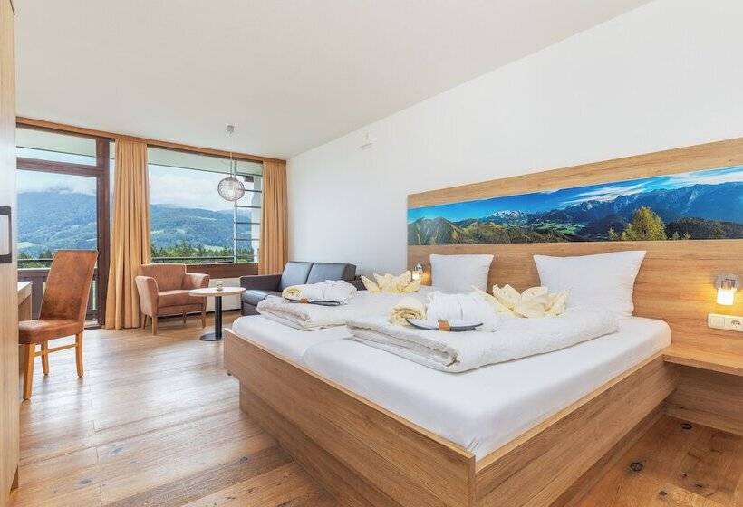 舒适型单人间, Alpenhotel Dachstein