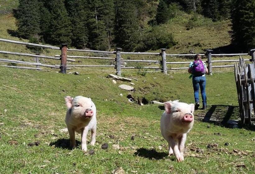 דירת חדר, Alphotel Mittersill