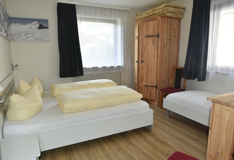 דירת חדר, Alphotel Mittersill