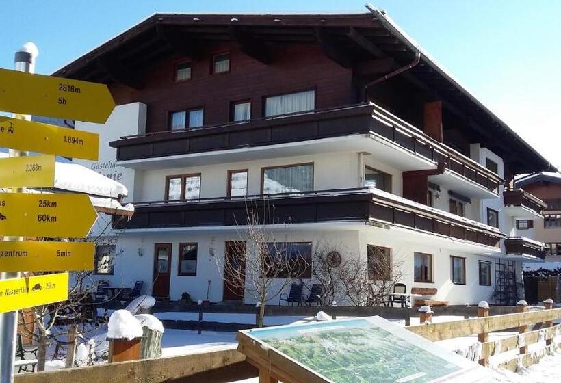 Апартаменты 3 Спальни, Alphotel Mittersill