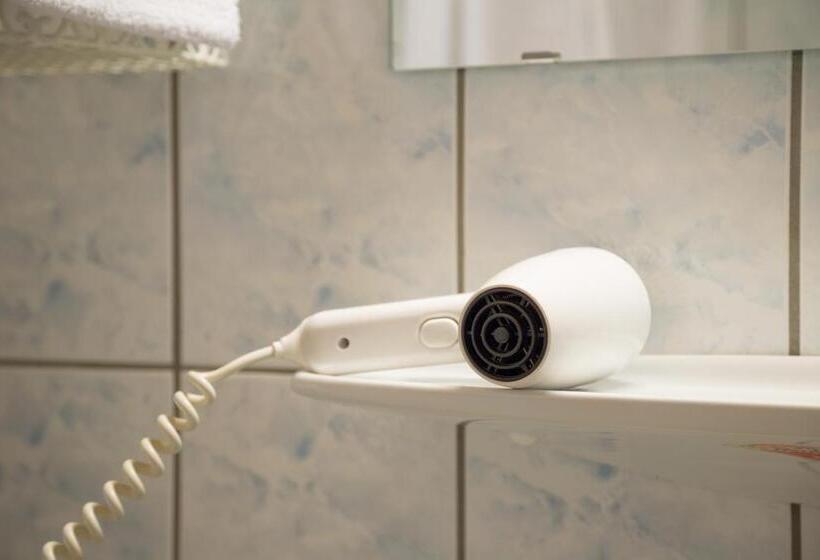 Апартаменты 2 Спальни с Балконом, Appartements Glungezer