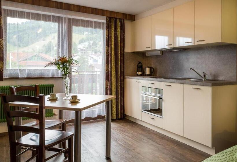 Апартаменты 1 Спальня с Балконом, Appartements Glungezer