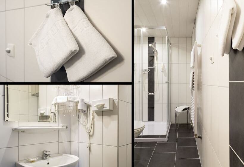 Апартаменты 1 Спальня с Балконом, Appartements Glungezer