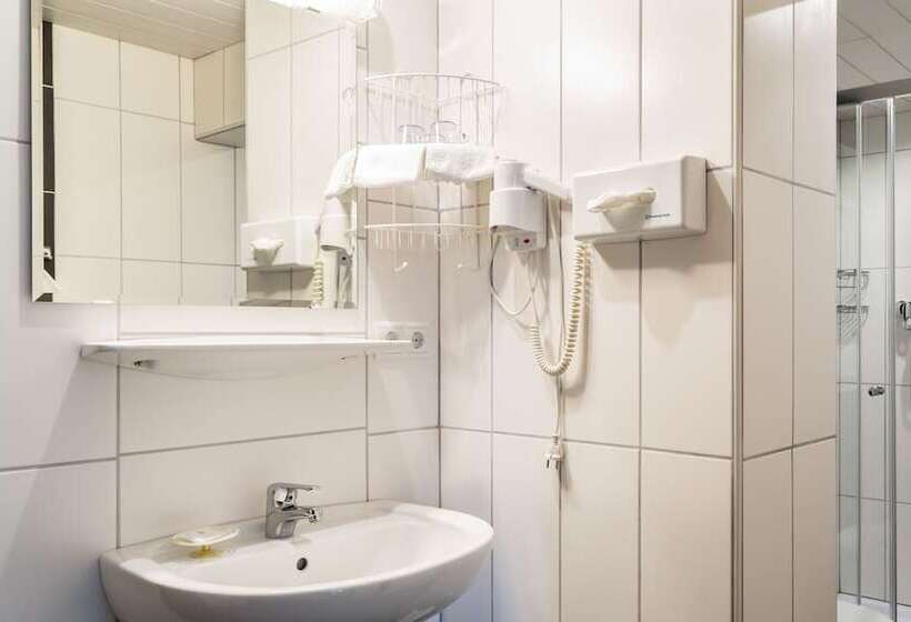 Апартаменты 1 Спальня с Балконом, Appartements Glungezer