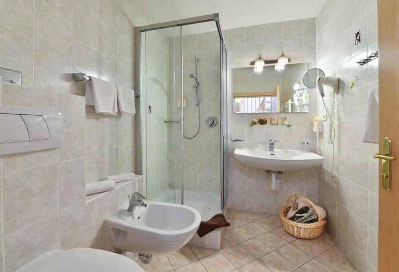 이코노미 룸, Panoramahotel Huberhof