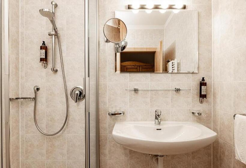 스탠다드 룸, Panoramahotel Huberhof