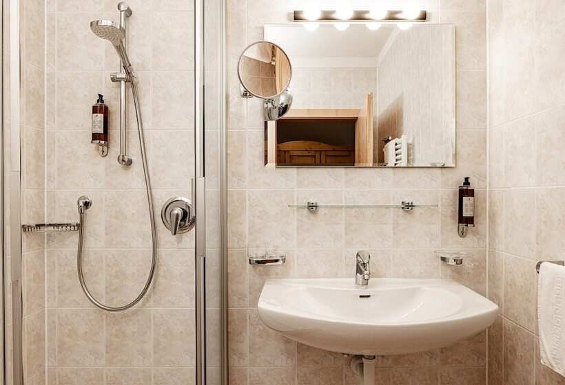 이코노미 룸, Panoramahotel Huberhof