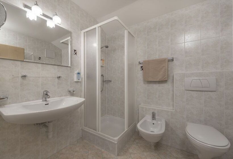 이코노미 룸, Panoramahotel Huberhof