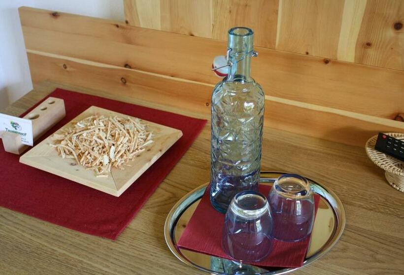 غرفة قياسية, Gasthof Thurnerhof