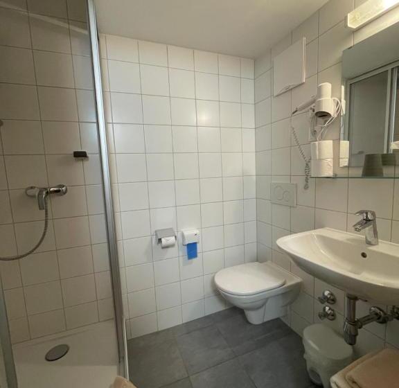 غرفة قياسية فردية, Gasthof Thurnerhof